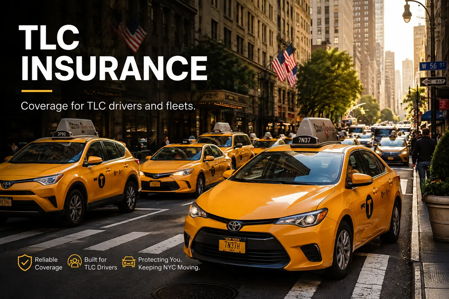 DMV & TLC Services